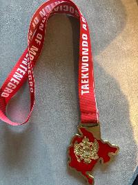 Первый на международном турнире Montenegro Podgorica Open (G1)!